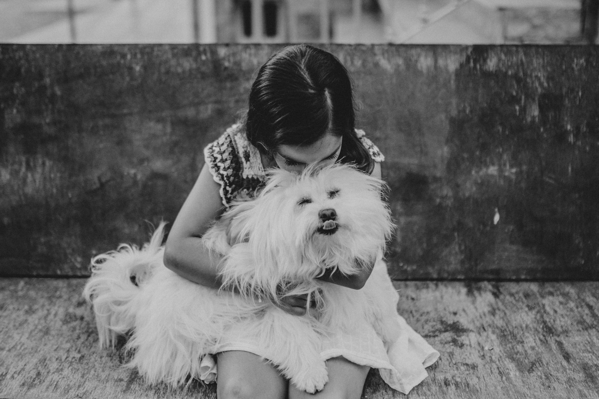 Fotografía en blanco y negro de una niña jugando con un perro